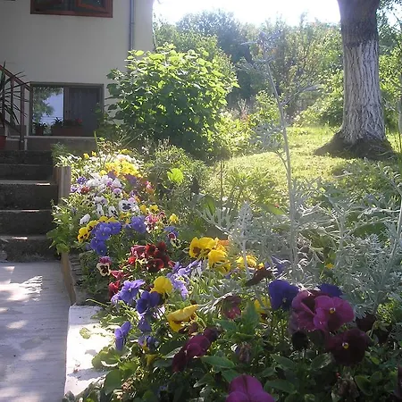Rado Vetren (Silistra)