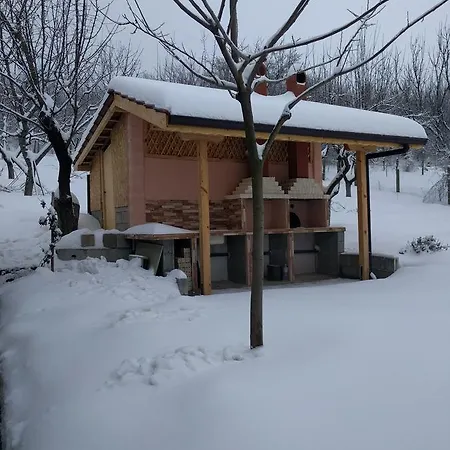 Rado * Vetren (Silistra)