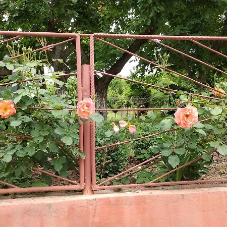 Maison d'hôtes Rado Vetren (Silistra)