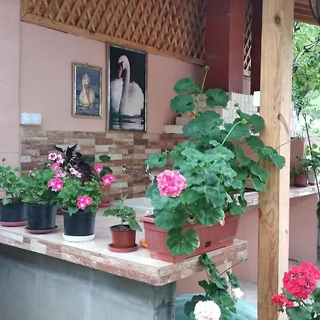 Rado * Vetren (Silistra)